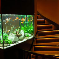 Beépített akvárium 2. az elkészült akvárium