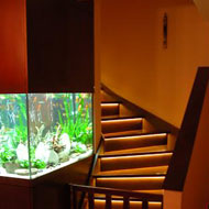 Beépített akvárium 2. az elkészült akvárium