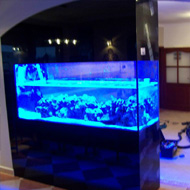 Tengeri akvárium 4. térelválasztó akvárium 800 liter feltöltés