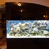 Tengeri akvárium 4. a kész térelválasztó akvárium 800 liter