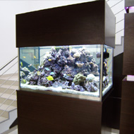 Tengeri akvárium 2. az elkészült körüljárható 700 literes akvárium