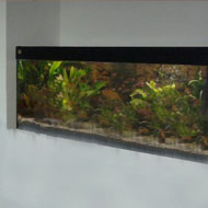 Falba épített akvárium 5. beépített kész akvárium (Juwel Rio)