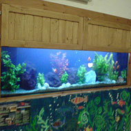 Falba épített akvárium 6. az elkészült és birtokba vett óvodai akvárium
