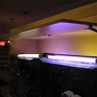 Falba épített akvárium 1. rejtett világítással és karbantartó területtel